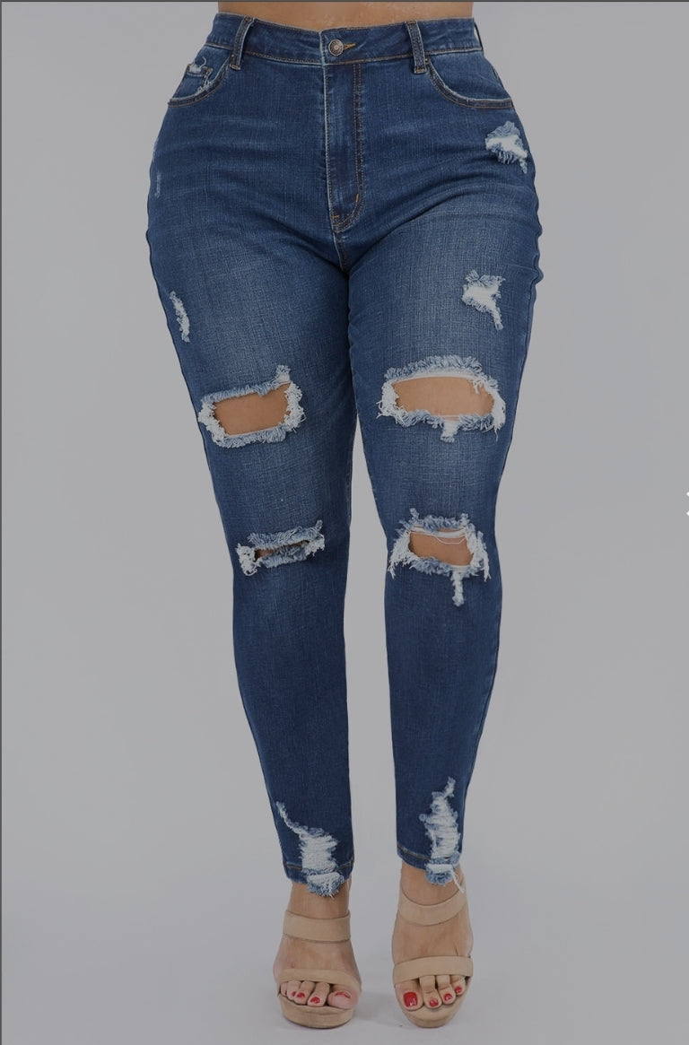 Curvy Distressed Jeans